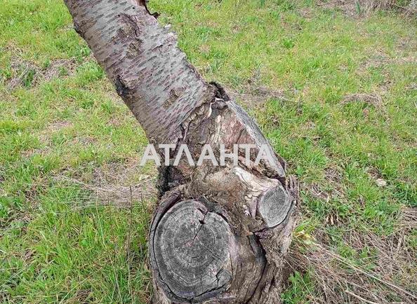 Будинок за адресою (площа 45 м²) - Atlanta.ua - фото 29