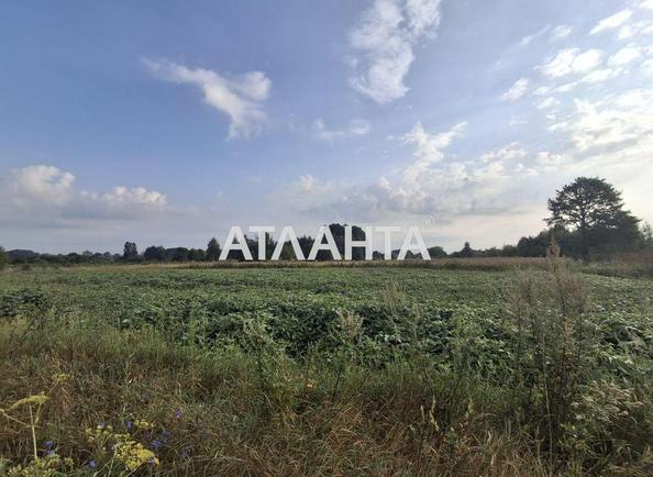 Ділянка за адресою вул. Гуменюка (площа 14,8 сот) - Atlanta.ua - фото 5