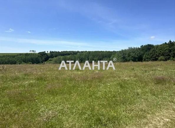 Участок по адресу ул. Ярослава Мудрого (площадь 10 сот) - фото 5 Участок по адресу ул. Ярослава Мудрого (площадь 10 сот) - Atlanta.ua - фото 5