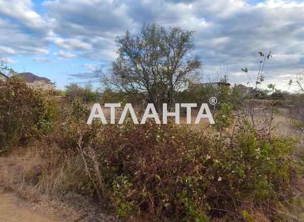 Участок по адресу Ежевичный пер. (площадь 10 сот) - Atlanta.ua - фото 14