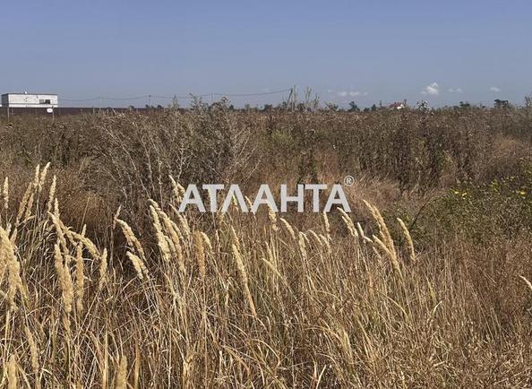 Landplot by the address st. Veselaya (area 20 acr) - Atlanta.ua - photo 7
