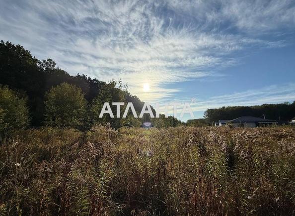 Участок по адресу ул. Подлесная (площадь 30 сот) - Atlanta.ua - фото 4