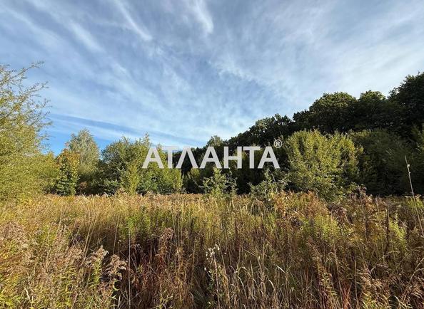 Участок по адресу ул. Подлесная (площадь 30 сот) - Atlanta.ua - фото 5
