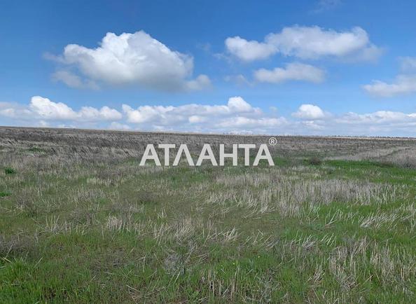 Landplot by the address st. Stepovaya (area 5 acr) - Atlanta.ua - photo 4