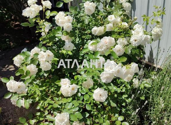 House by the address st. Shevchenko (area 54,4 m²) - Atlanta.ua - photo 11