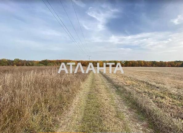 Ділянка за адресою (площа 10 сот) - Atlanta.ua - фото 6