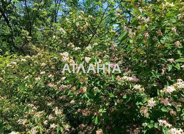 Участок по адресу (площадь 6 сот) - Atlanta.ua - фото 5