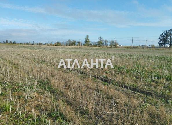 Ділянка за адресою вул. Окружна (площа 8 сот) - Atlanta.ua