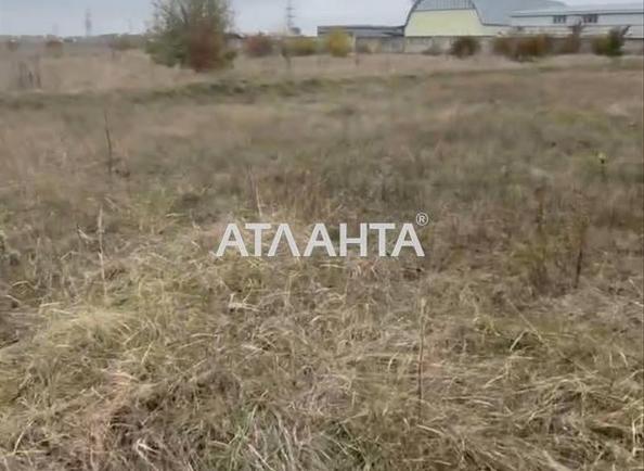 Ділянка (площа 24,8 сот) - Atlanta.ua