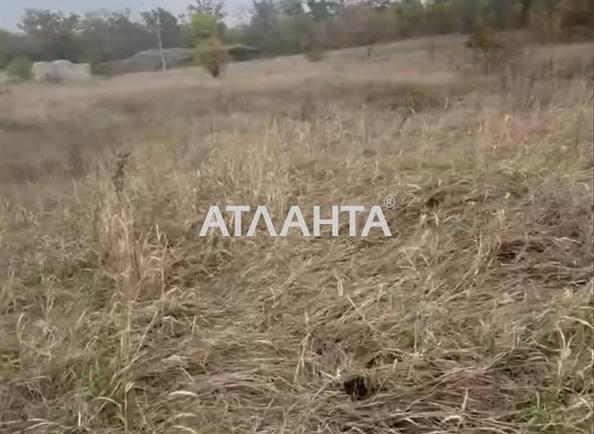 Ділянка (площа 24,8 сот) - Atlanta.ua - фото 2