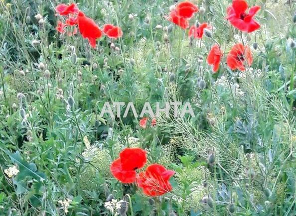 Участок по адресу ул. Корабельная (площадь 8 сот) - Atlanta.ua - фото 4