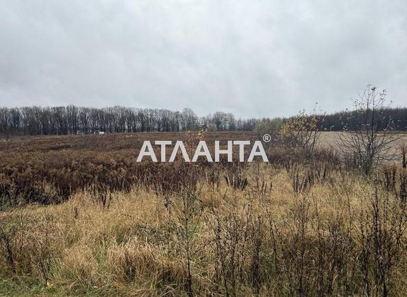 Участок по адресу (площадь 26,7 сот) - Atlanta.ua - фото 2