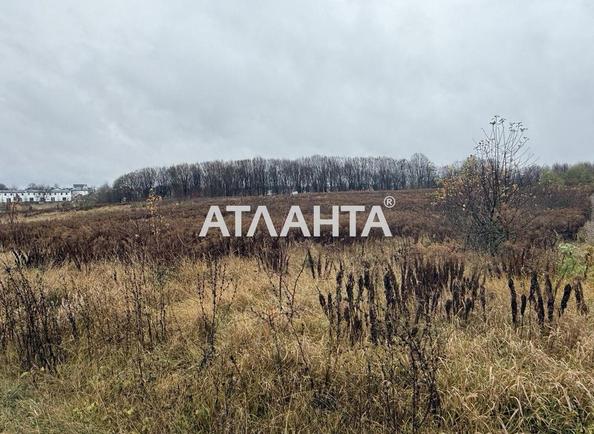 Участок по адресу (площадь 26,7 сот) - Atlanta.ua - фото 4
