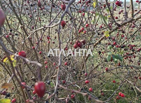 Дом по адресу ул. Морская (площадь 160 м²) - Atlanta.ua - фото 7