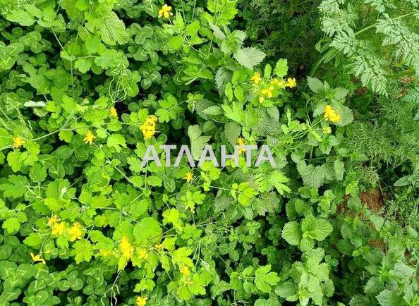 Участок по адресу ул. Институтская (площадь 9 сот) - Atlanta.ua - фото 6