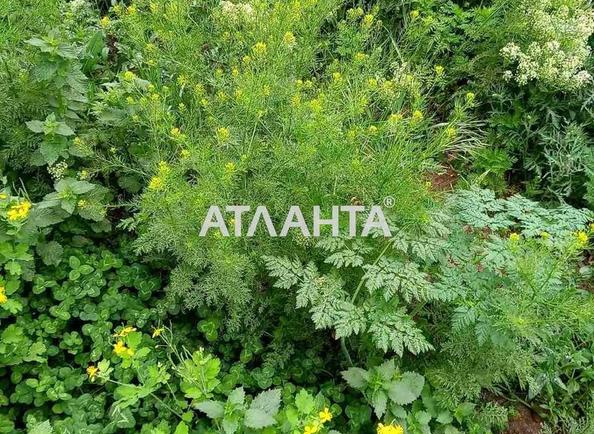 Участок по адресу ул. Институтская (площадь 9 сот) - Atlanta.ua - фото 7