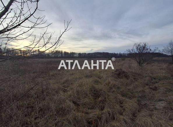 Участок по адресу ул. Дачная (площадь 22,1 сот) - Atlanta.ua - фото 2