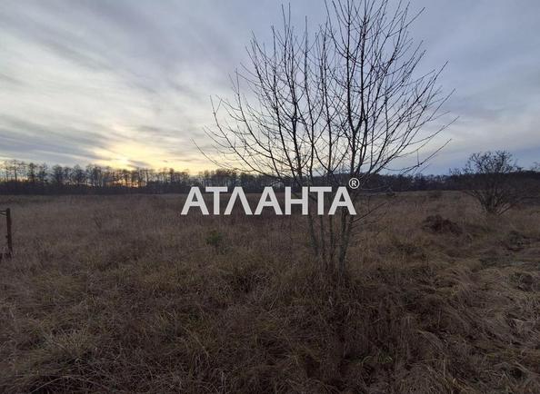 Участок по адресу ул. Дачная (площадь 22,1 сот) - Atlanta.ua - фото 3