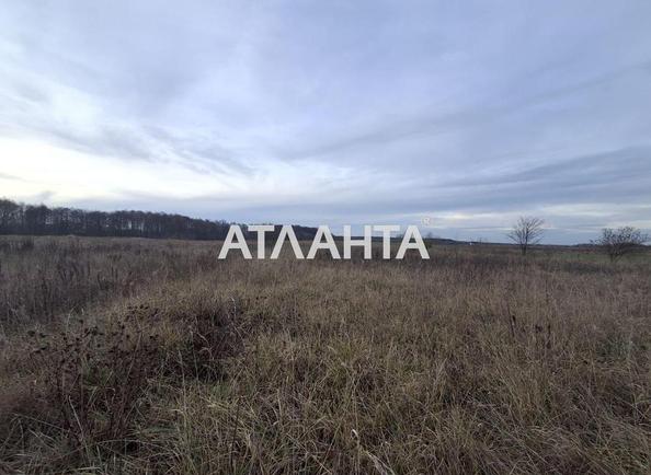 Участок по адресу ул. Дачная (площадь 22,1 сот) - Atlanta.ua - фото 4