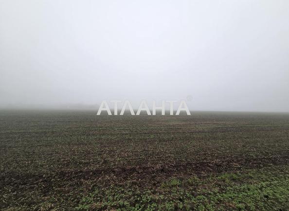 Участок (площадь 460 сот) - Atlanta.ua