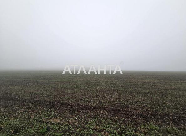 Участок (площадь 460 сот) - Atlanta.ua - imageAlt 2