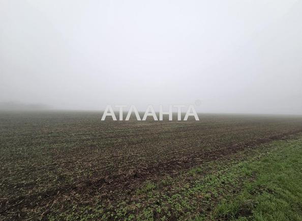 Участок (площадь 460 сот) - Atlanta.ua - imageAlt 3