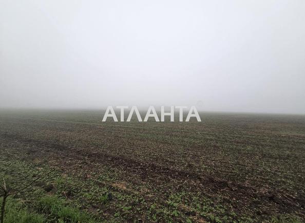 Участок (площадь 460 сот) - Atlanta.ua - imageAlt 4