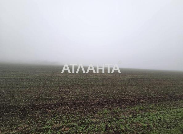 Участок (площадь 460 сот) - Atlanta.ua - imageAlt 5