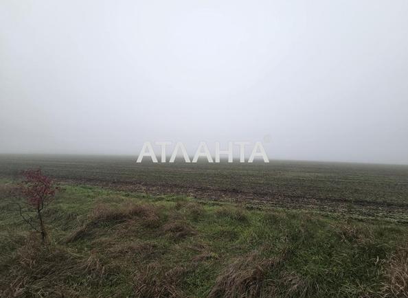 Участок (площадь 460 сот) - Atlanta.ua - imageAlt 10