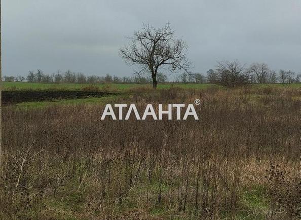 Участок по адресу ул. Лянного ак. (площадь 6 сот) - Atlanta.ua - фото 2