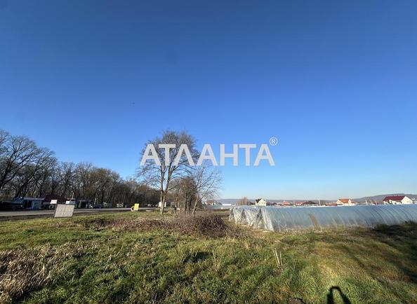 Landplot by the address (area 42,7 acr) - Atlanta.ua - photo 3