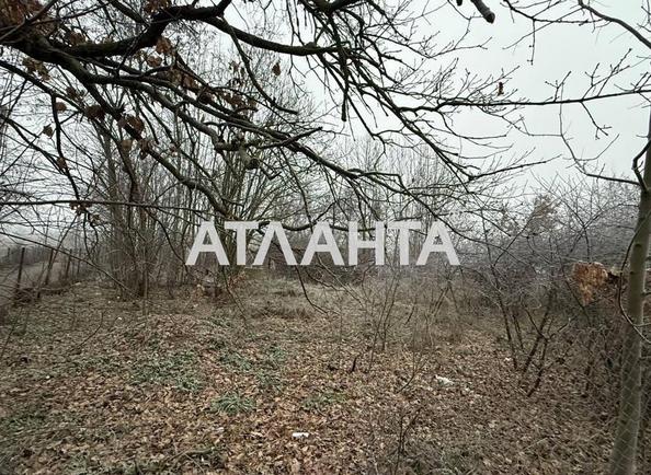 Участок по адресу ул. Есенина (площадь 25 сот) - Atlanta.ua - фото 2