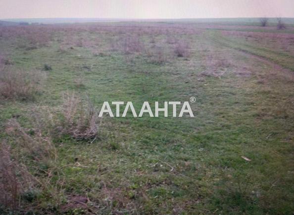 Landplot by the address (area 5,6 acr) - Atlanta.ua - photo 4