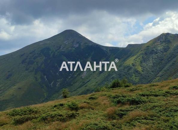 Участок по адресу (площадь 70 сот) - Atlanta.ua - фото 2