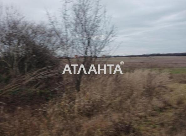 Участок по адресу ул. Франко Ивана (площадь 400 сот) - Atlanta.ua - фото 5