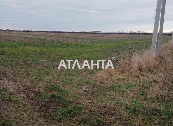 Участок по адресу ул. Франко Ивана (площадь 400 сот) - Atlanta.ua - фото 7