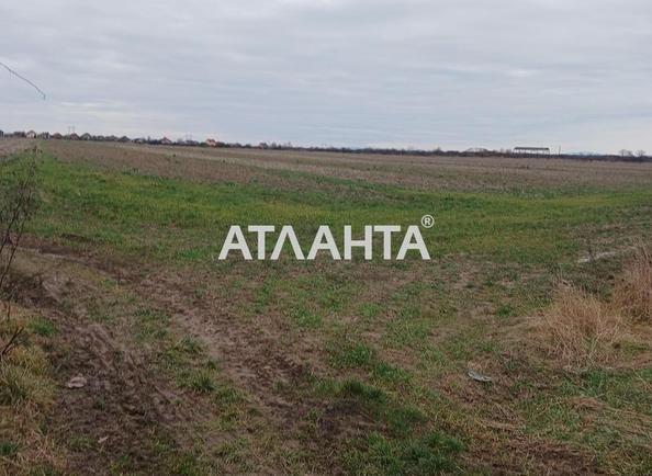 Участок по адресу ул. Франко Ивана (площадь 400 сот) - Atlanta.ua - фото 8