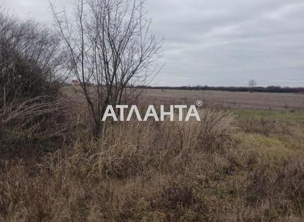 Участок по адресу ул. Главная (площадь 5 сот) - Atlanta.ua