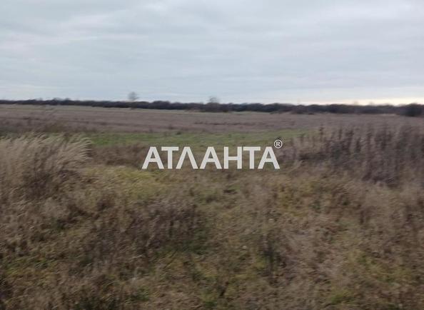 Участок по адресу ул. Главная (площадь 5 сот) - Atlanta.ua - фото 3