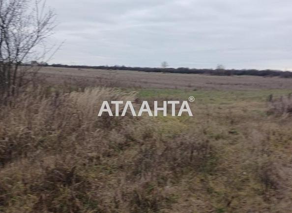 Участок по адресу ул. Главная (площадь 5 сот) - Atlanta.ua - фото 4