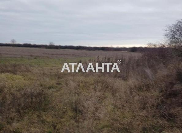 Участок по адресу ул. Главная (площадь 5 сот) - Atlanta.ua - фото 5