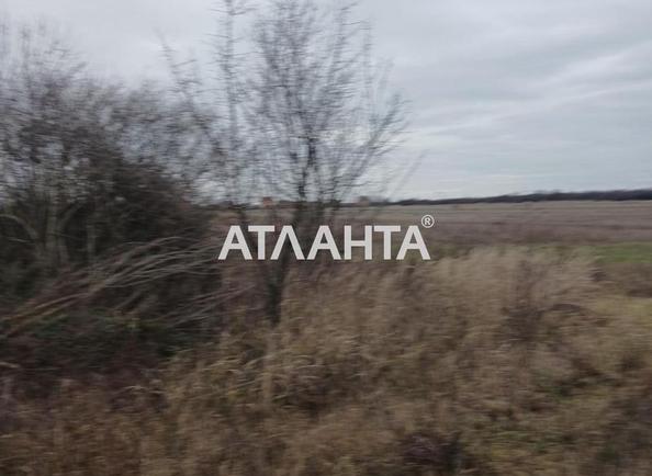 Участок по адресу ул. Главная (площадь 5 сот) - Atlanta.ua - фото 6