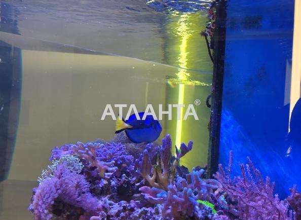 1-комнатная квартира по адресу Фонтанская дор. (площадь 40 м²) - фото 13 1-комнатная квартира по адресу Фонтанская дор. (площадь 40 м²) - Atlanta.ua - фото 13