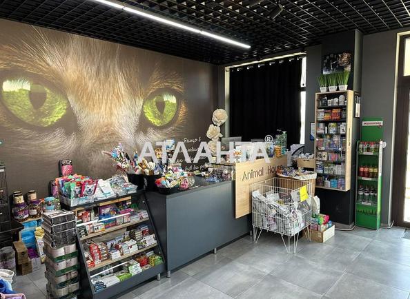 Комерційна нерухомість за адресою вул. Патруса-Карпатського (площа 104 м²) - Atlanta.ua - фото 5