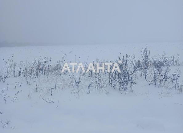 Участок по адресу (площадь 130 сот) - Atlanta.ua - фото 5