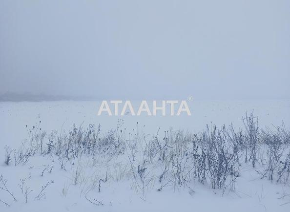 Участок по адресу (площадь 10 сот) - Atlanta.ua - фото 2