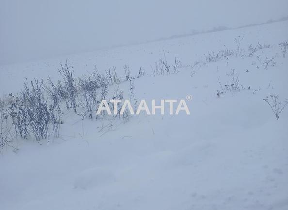 Участок по адресу (площадь 10 сот) - Atlanta.ua - фото 4
