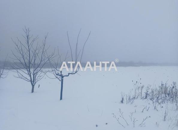 Участок по адресу (площадь 10 сот) - Atlanta.ua - фото 6
