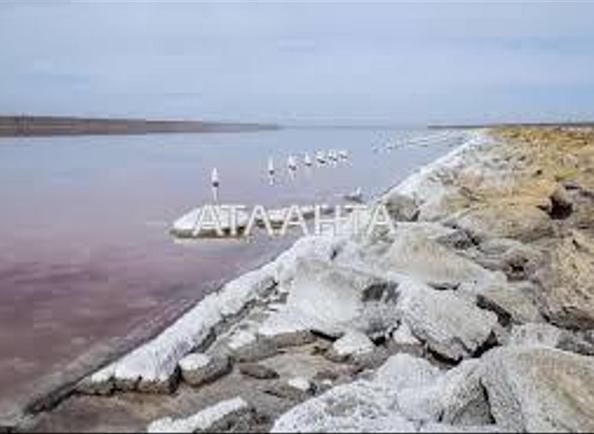 Дом по адресу ул. Рождественская (площадь 80 м²) - Atlanta.ua - фото 3