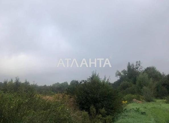 Landplot by the address st. Vozrozhdeniya (area 10 acr) - Atlanta.ua - photo 6